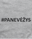 Panevėžys